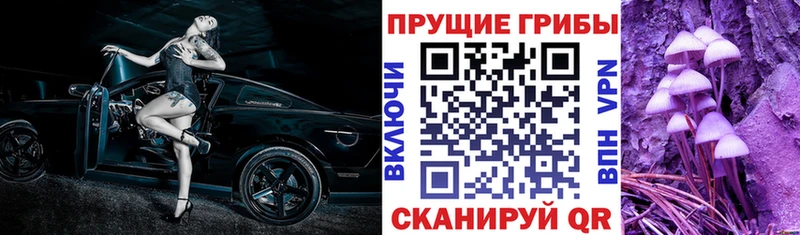 Галлюциногенные грибы мицелий  Правдинск 
